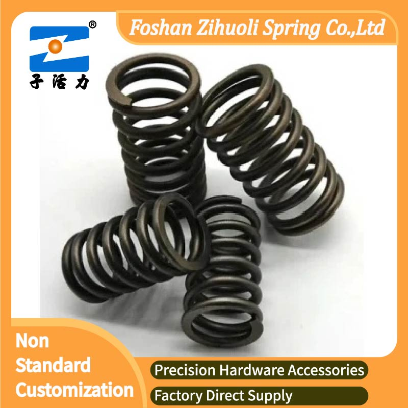 Factory Customized Electrophoresis Process Carbon Compression Metal Spring