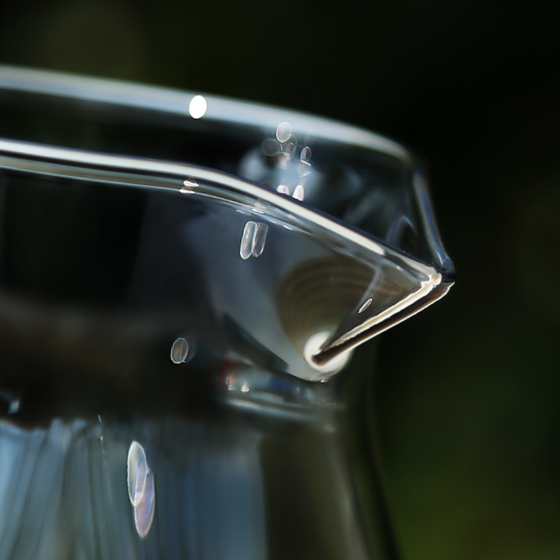 Premium Glass Pour Over Coffee Maker - Modern Design Sharing Brewer