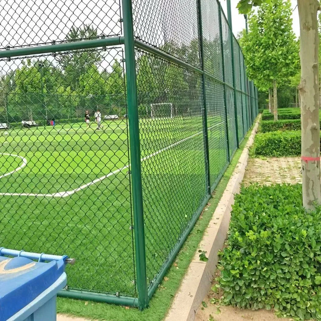 Chain Link Fence 100FT 6FT 8FT PVC Coated Wire Mesh Galvanized Diamond Custom Specifications for Sale Hot