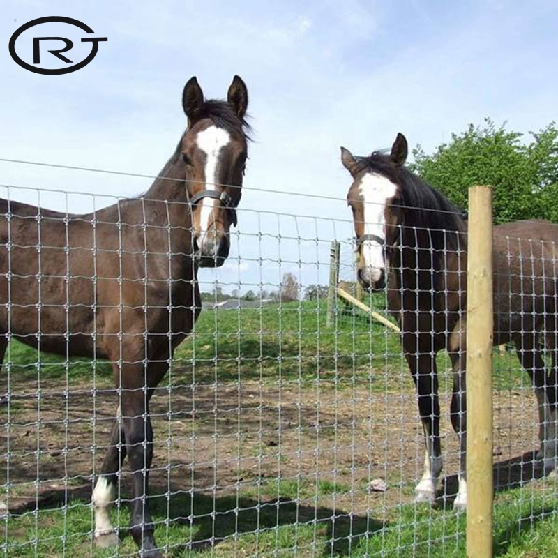 Anping Lowest Price Cattle Wire Mesh Fence Farm Fence for Sale