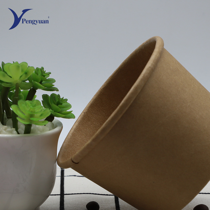 Custom Printed Disposable Paper Ice Cream Cup with Dome Lid Wholesale