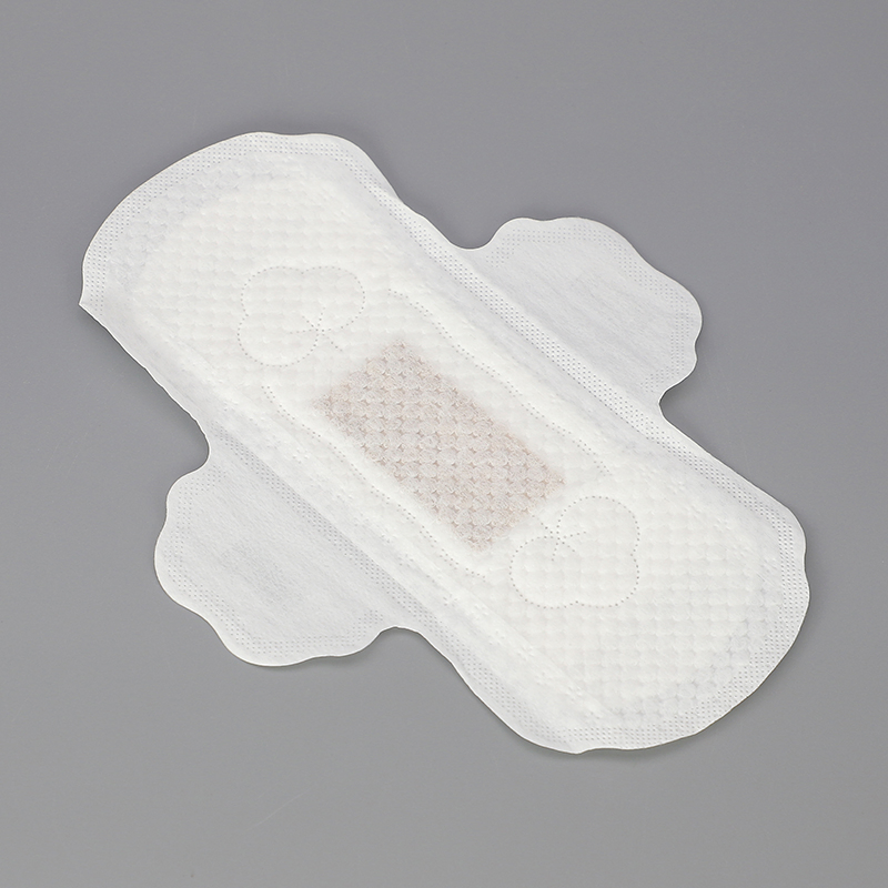 Disposable Adult Wearing Lady Diaper Girl Menstrual Period Diapers Women Pad Sanitary Pants Wholesale Biodegradable Sanitary Napkins Maxi Thick Sanitary Nappies