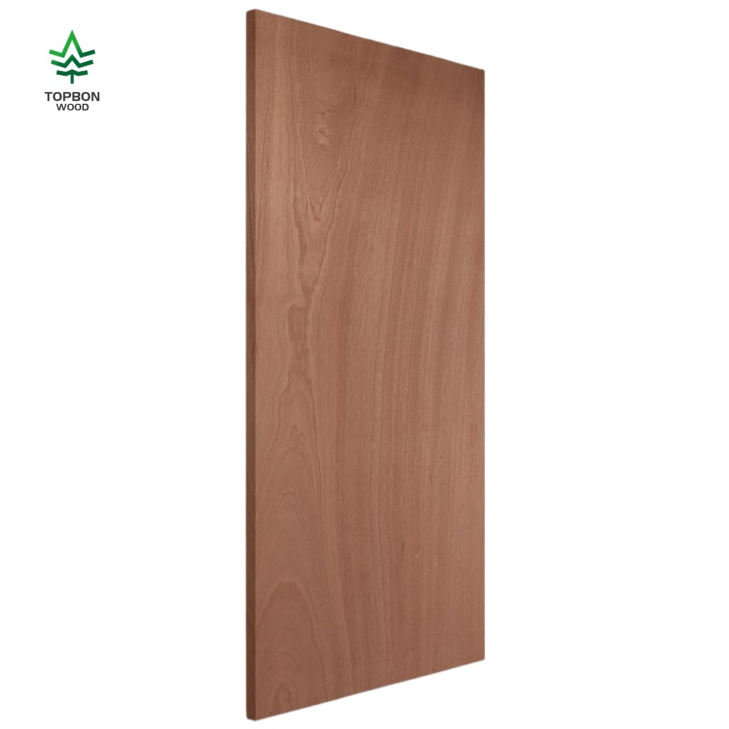 Modern Design Styles Sapele Veneer Plywood Flush Interior Door for Door