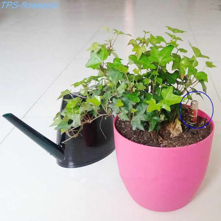 Automatic Water Suction Flowerpot with Water Level Gauge