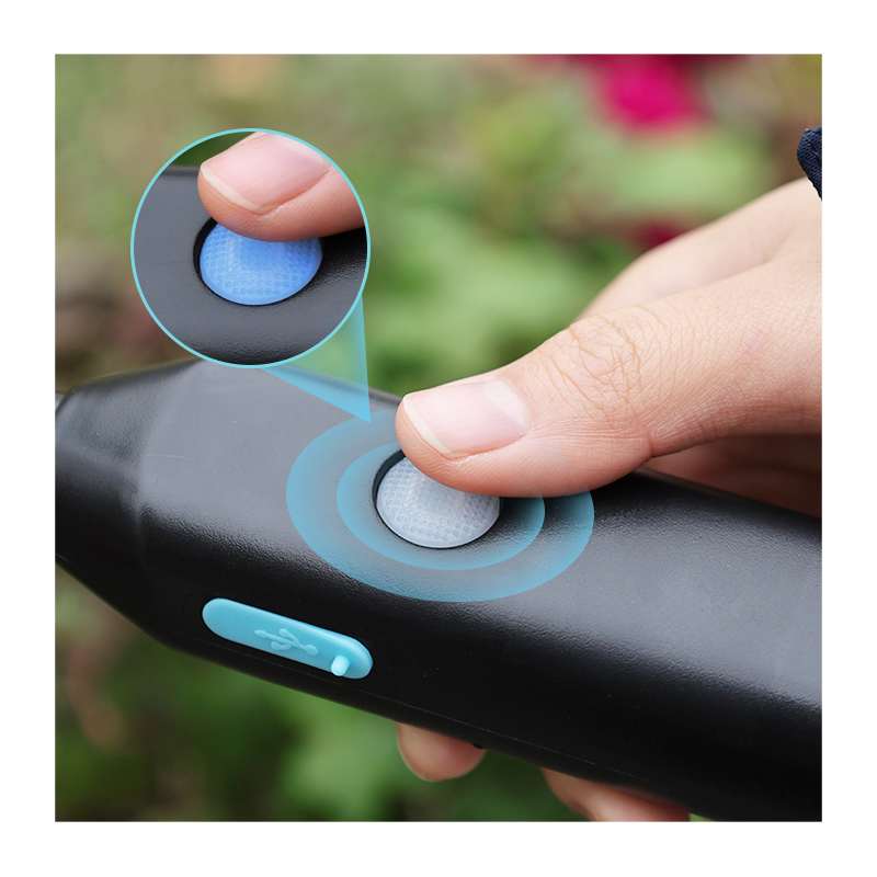 Battery Powered 6L Electric Sprayer with USB Rechargeable Handle Portable Garden Sprayer