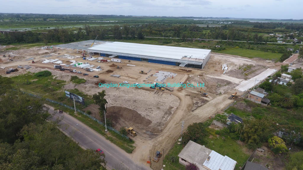 Steel Structure Shopping Mall Supermarket Building