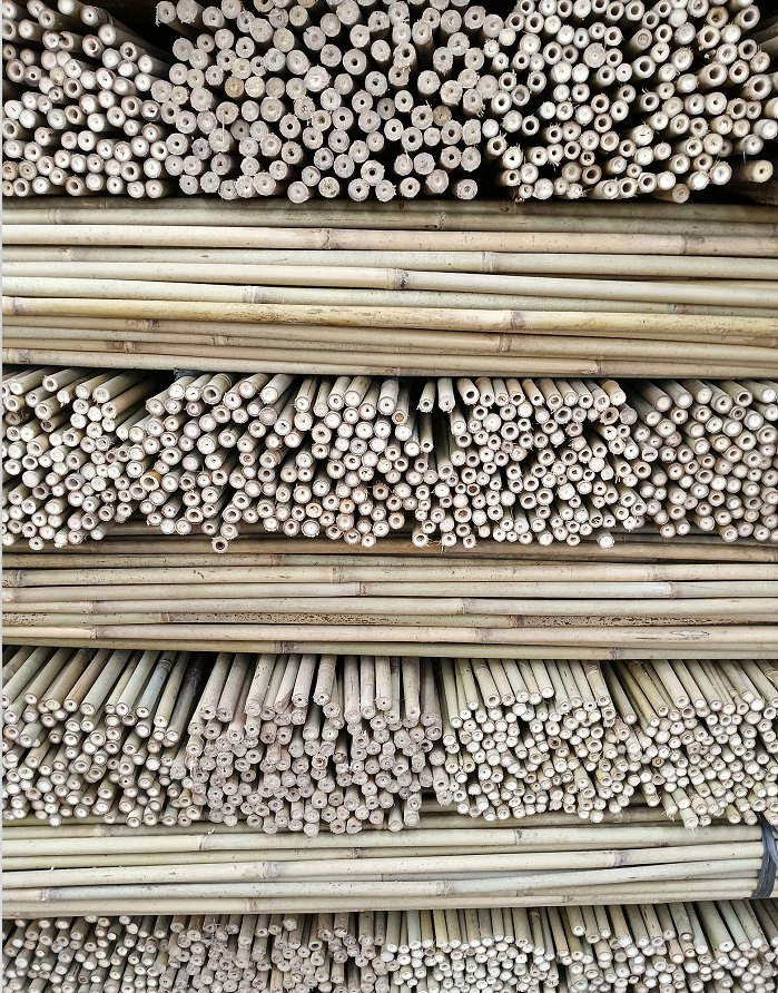 Cucumber, Beans, Tomatoes, and Small Bamboo Poles/Supporting Bamboo Pole