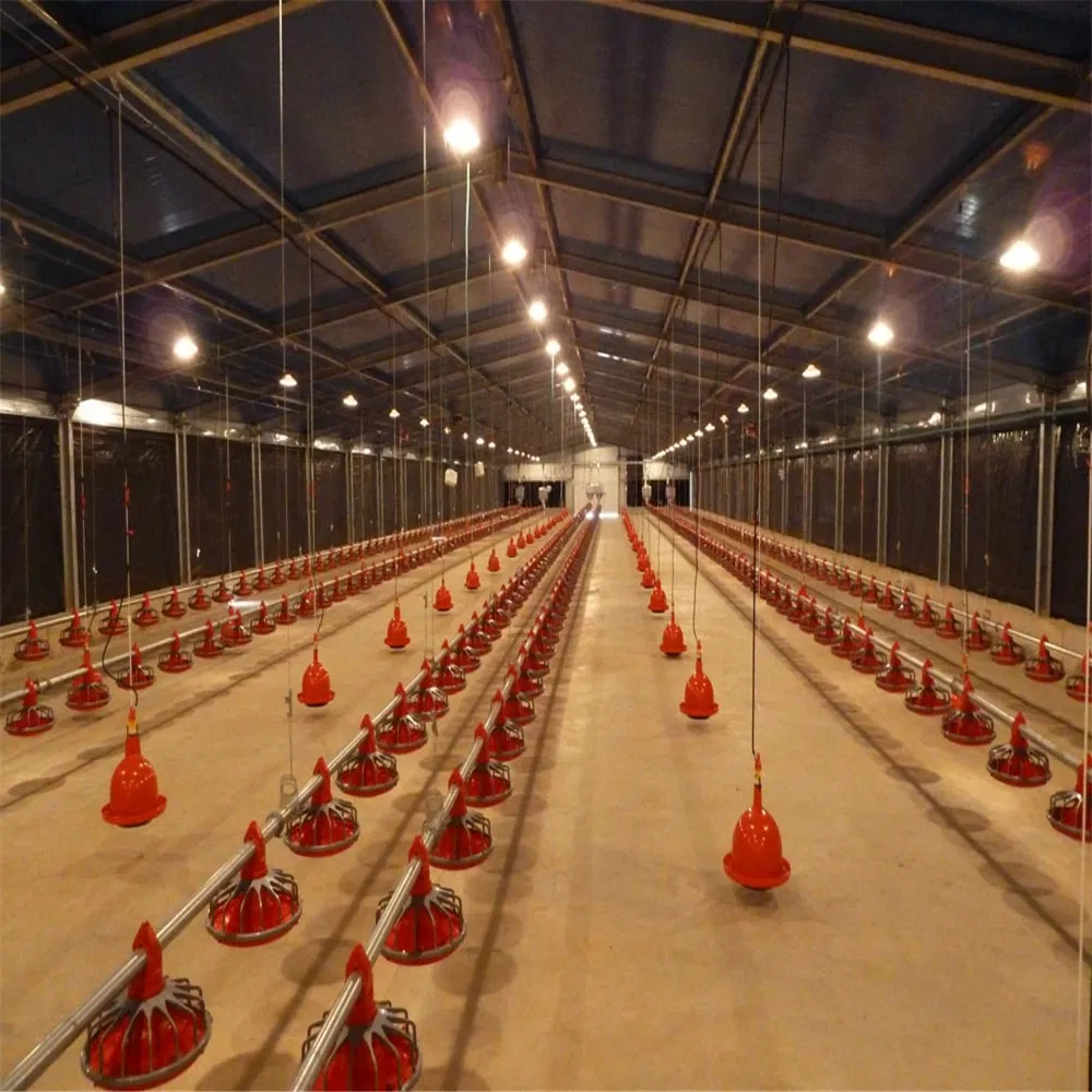 Durable Weatherproof Steel Chicken Coop for Poultry Farming