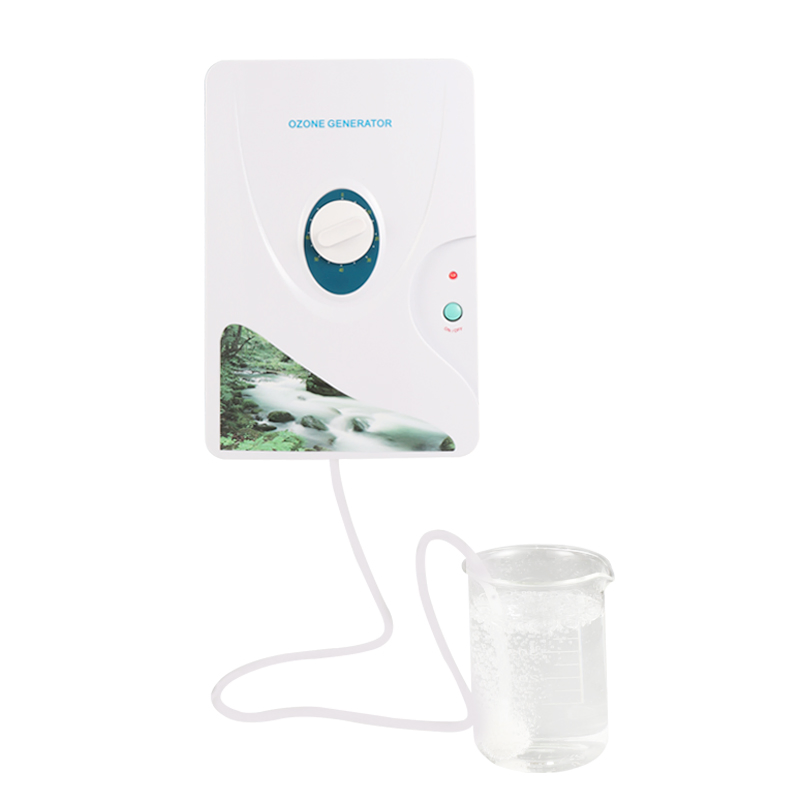 Wall Mounted Home Ozone Purifier for Water & Food Disinfection Fruit and Veggie Cleaning Purifier Fruit and Veggie Purifier