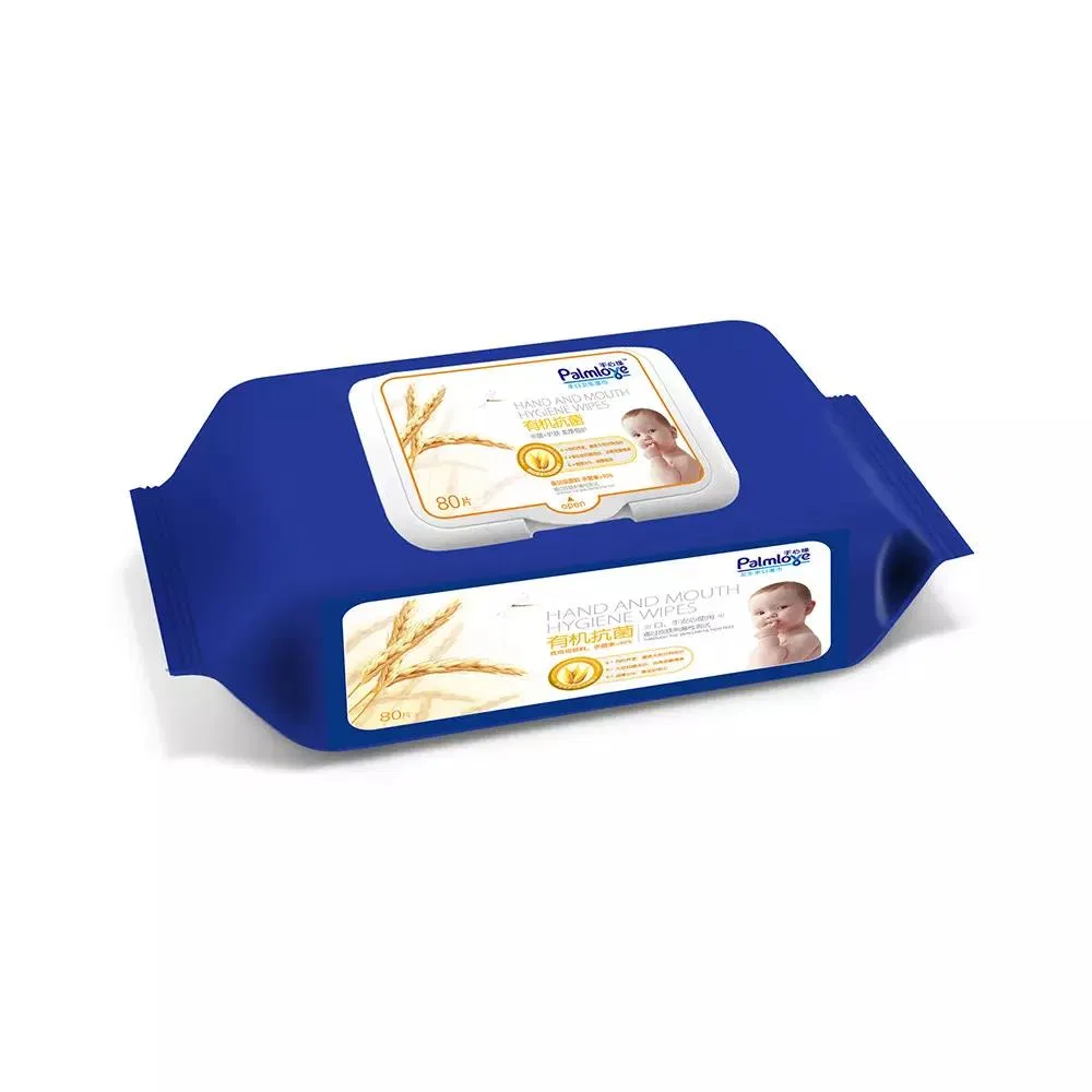 Disinfection Wet Wipes 80PCS Cleaning Wipes Household Sterilizing Not Pungent for Wholesale
