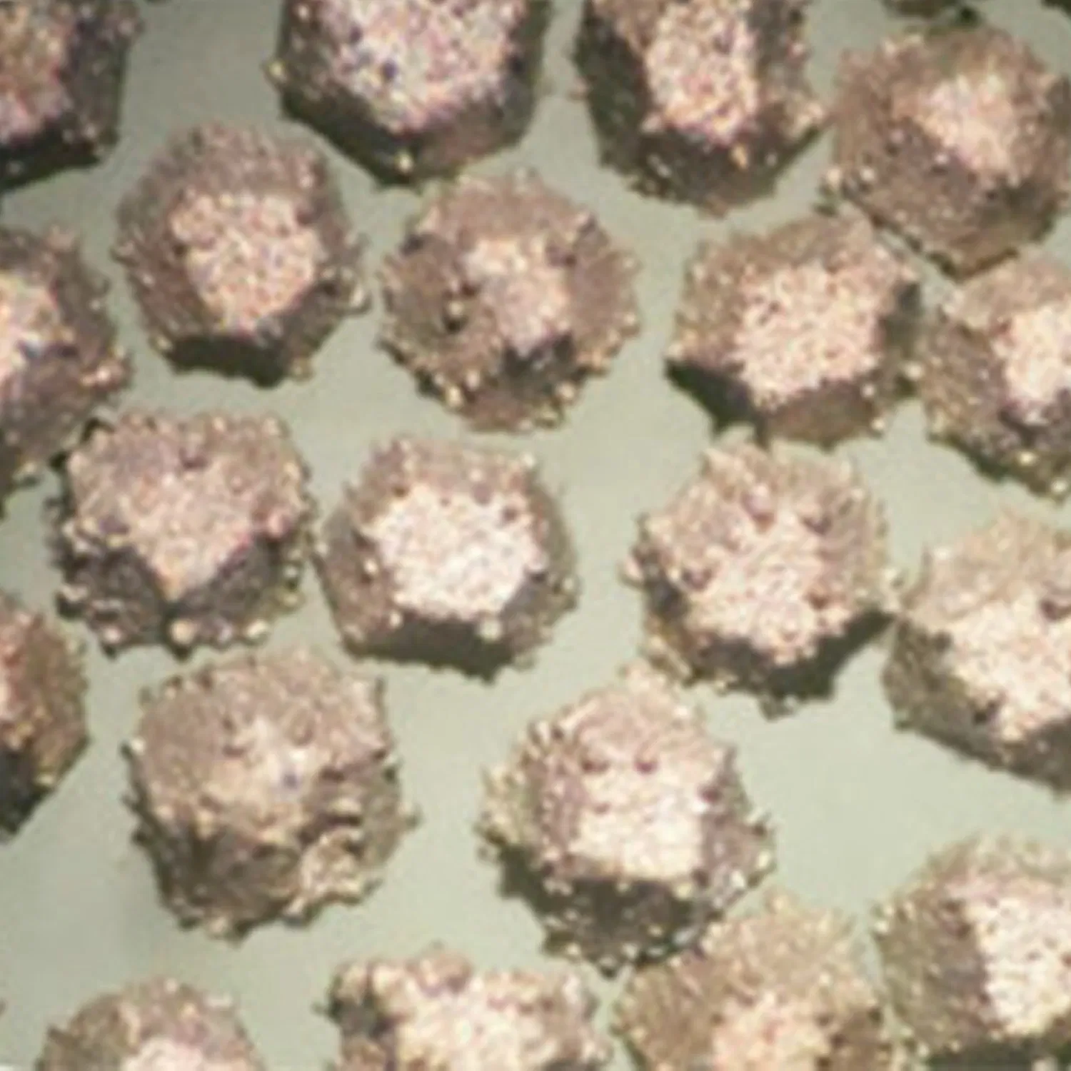 Порошок синтетического алмаза с никелевым покрытием