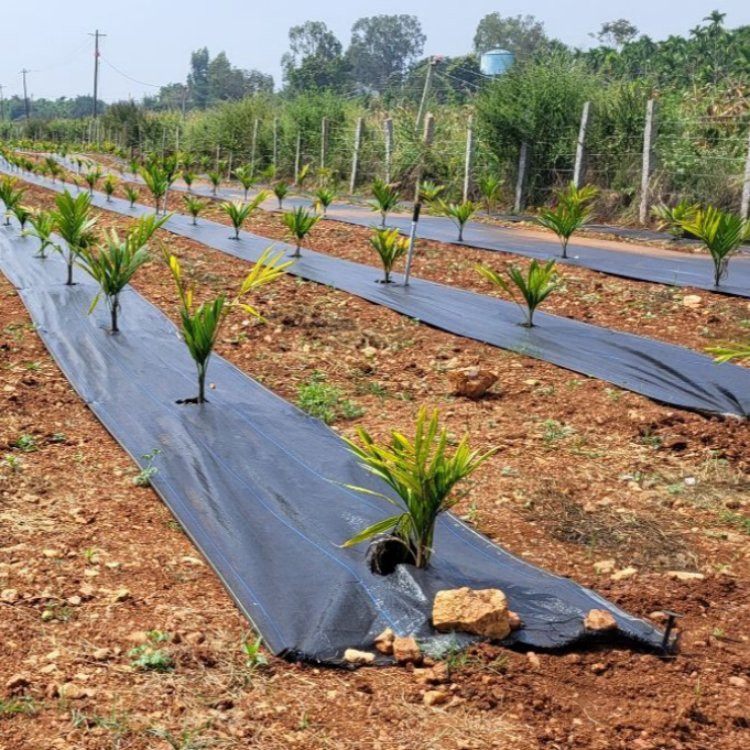 Home Vegetable Garden Landscape Fabric Weed Mat Control Weed Barrier Fabric Driveway Weed Block Mat