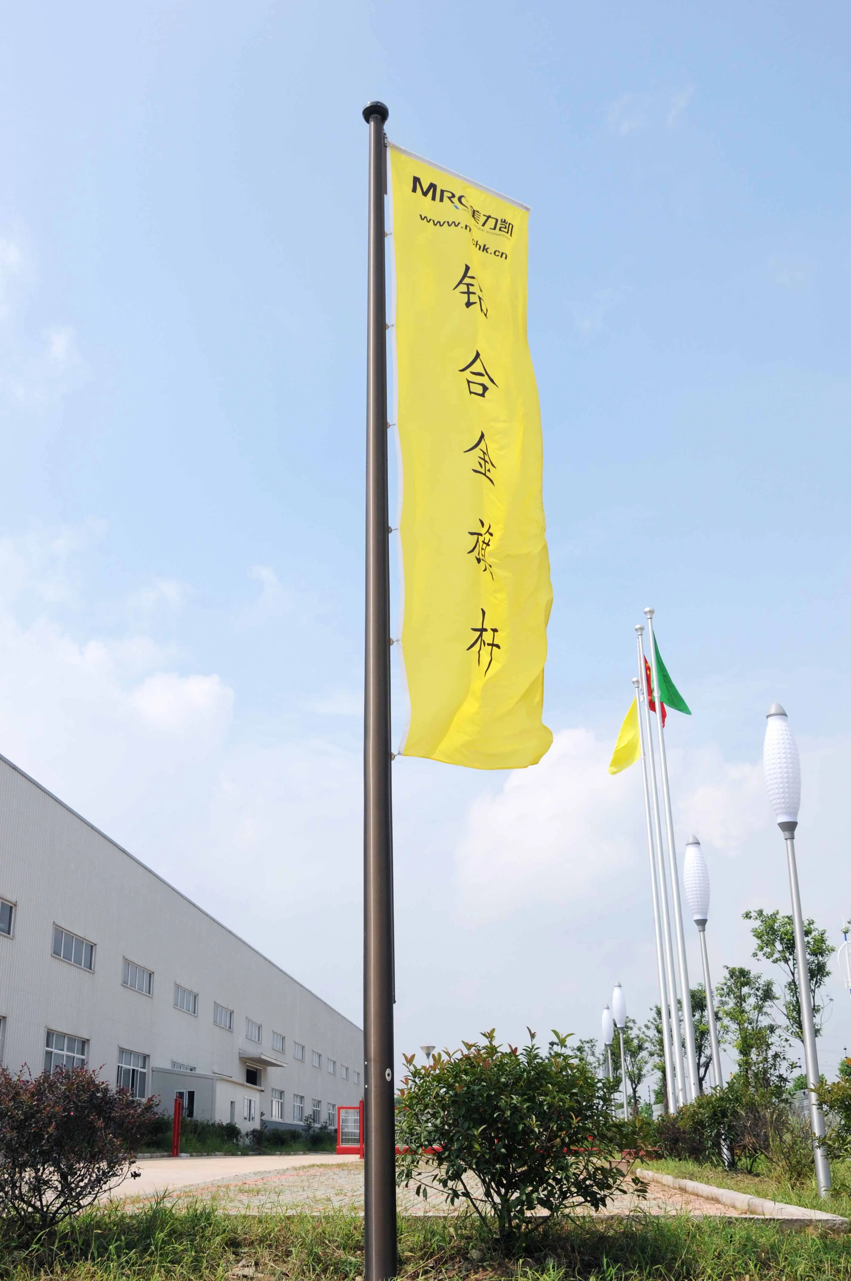 Aluminum / Anodized Tapered Outdoor Conic Flagpole/F Flag Pole/Mast