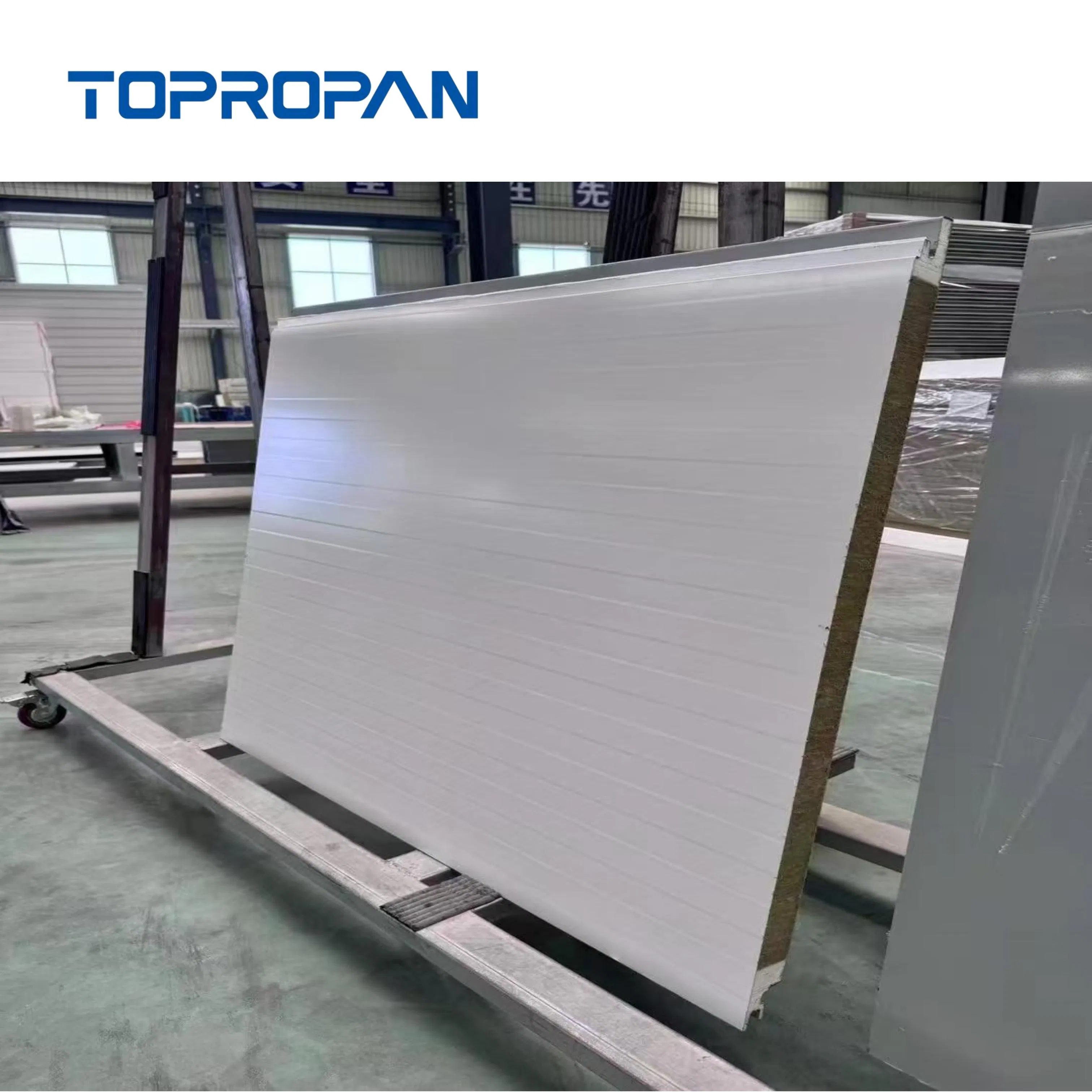 Rockwool Sandwich Roof Panel for Optimal Cleanroom Building Efficiency