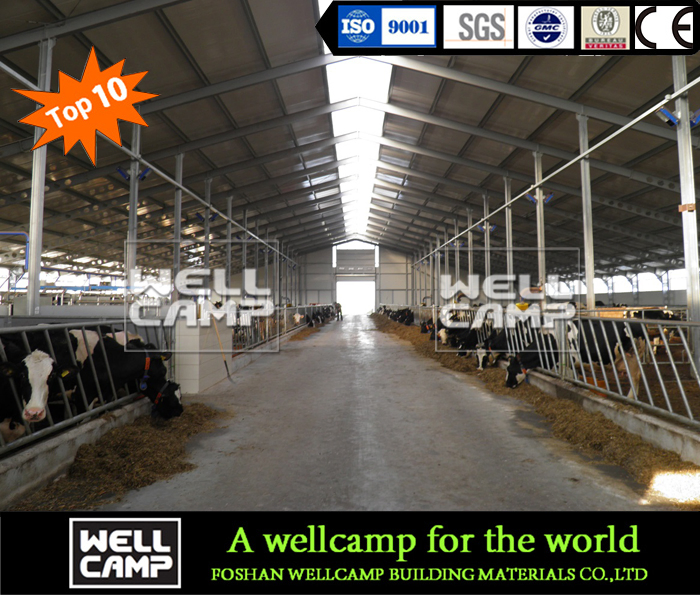 High Quality Customized Steel Structure Cowshed