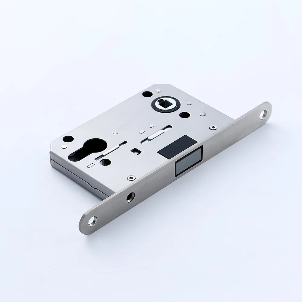 Zamak Window Hardware Door Lock Furniture Front Interior Door Handle (Z6181-ZR09)