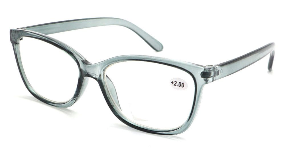 Popular PC Frame Reading Glasses (RP474029(1))