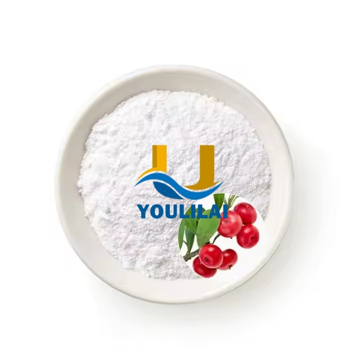 Alpha Arbutin Powder CAS 84380-01-8 Cosmetic Pure 99% Alpha-Arbutin Extract Skin Whitening