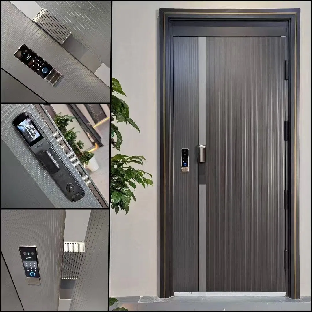 Стальная входная дверь для дома