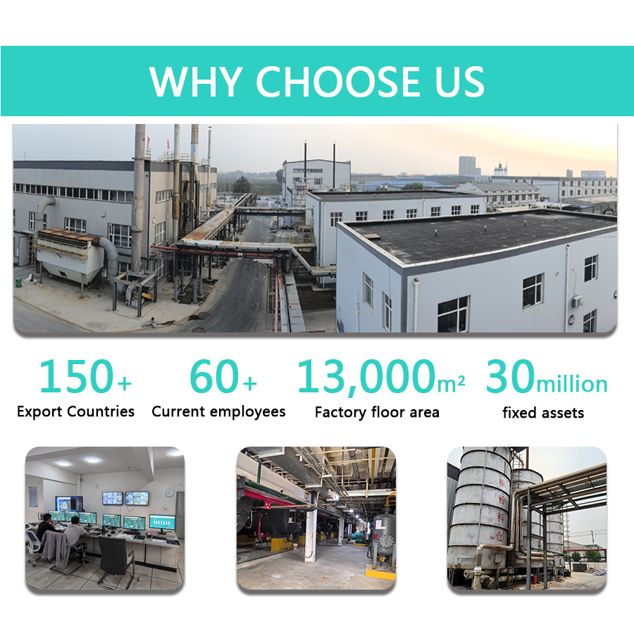 Gx-600 Vae Rdp Polymer with Good Workability, Excellent Wear Resistance and Adhesive Property