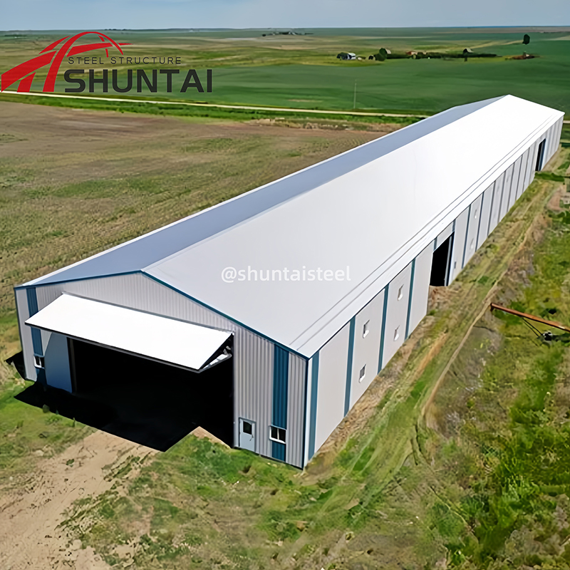 Professional Economical CE Prefabricated/Prefab Galvanized H Beam Design Building Metal Q345/Q235 Large Span Steel-Structure for Factory Warehouse Workshop
