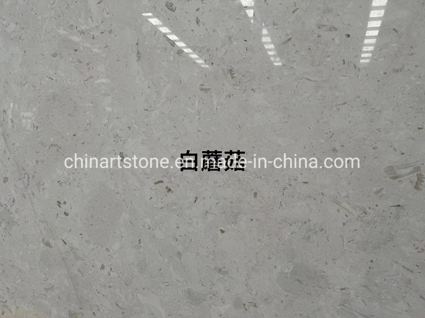 Nature Stone Red Yellow Beige and Colors Limestone Tile