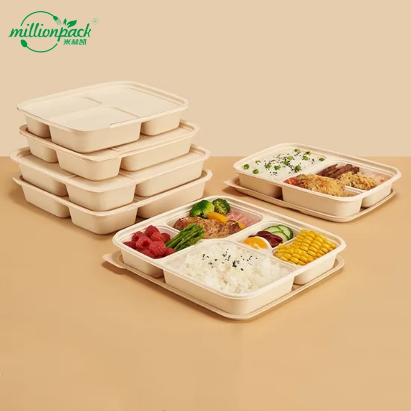 Biodegradable Disposable Divided Box with Multiple Sections for Food Separation