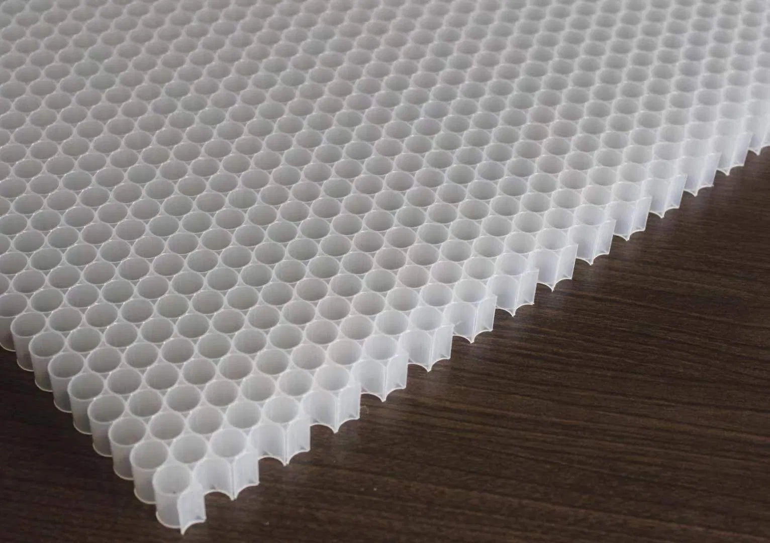 Premium 20-Year Warranty PP Honeycomb Panels for Modern Construction