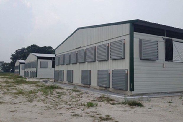 Low Cost Prefabricated Layer Chicken House Steel Poultry Chicken Farm