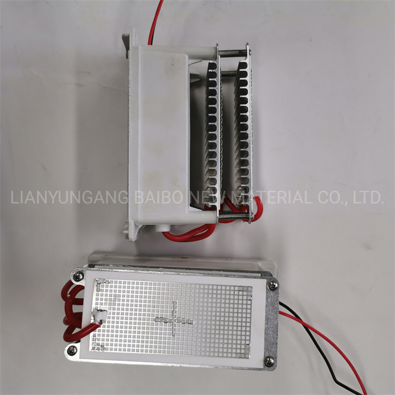 Disinfection Water Treatment Ozone Generator O3 Output 5g 10g Module Machine