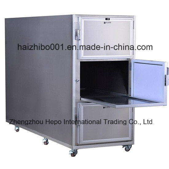 Hospital Clinic Equipment Mortuary Refrigerator Freezer (for HP-CR2N)
