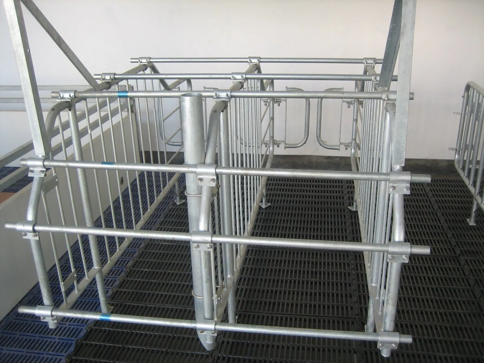 Pig Farm Equipment Sow Gestation Stall