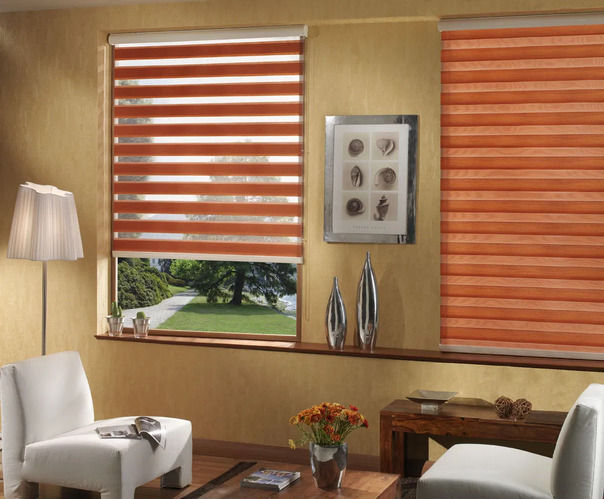 100% Polyester Fabric Manual Blackout Shade Roller Blinds Blackout Zebra Blinds