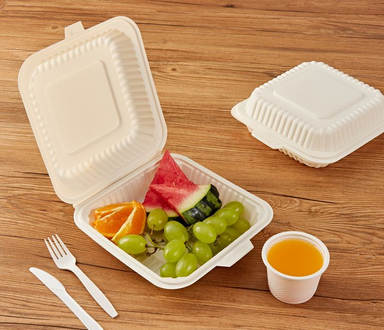 Biodegradable Disposable Custom Logo Meal Prep Container Takeaway Box Food Box