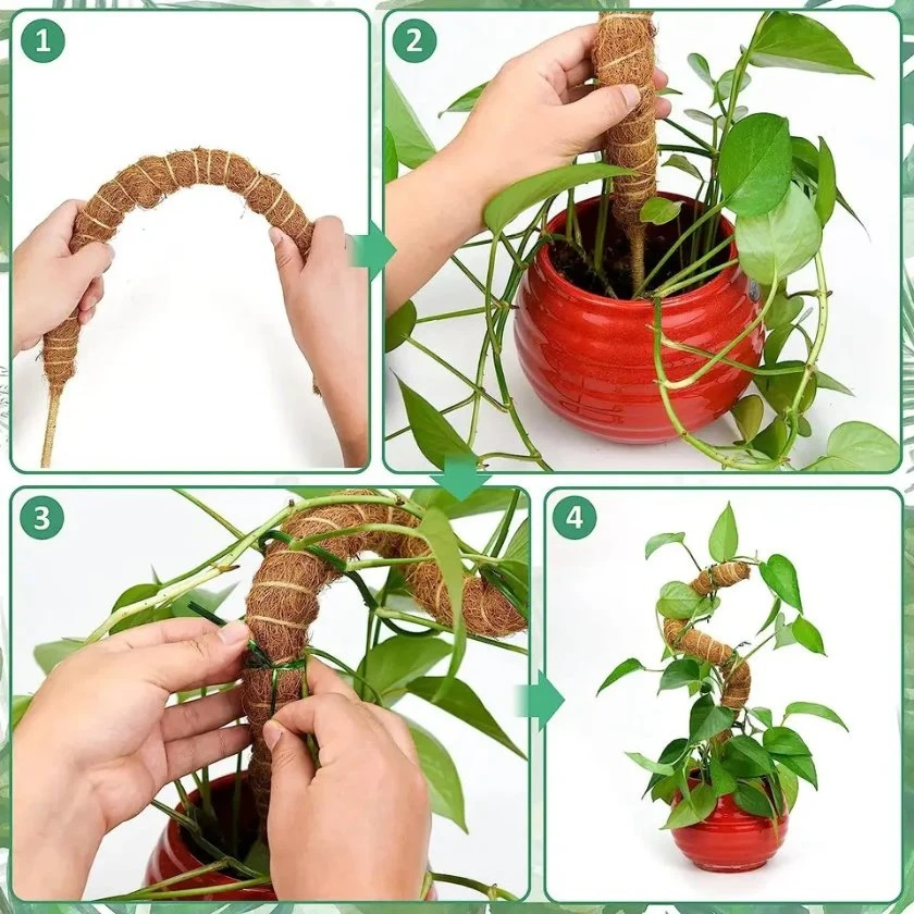Garden Accessories Indoor Potted Plant Bendable Support Climbing Coir Moss Poles
