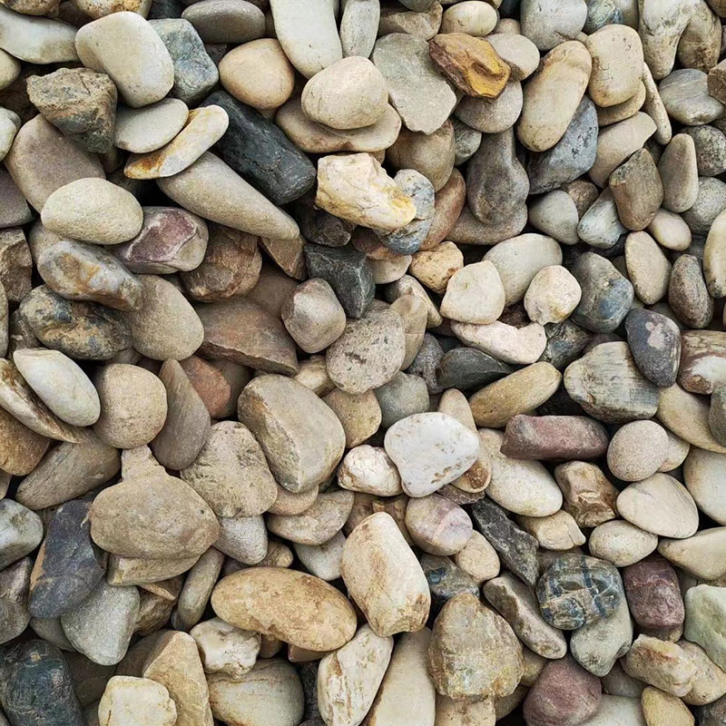 Mixed Color River Stone Driveways Pebbles Natural Landscape Cobbles