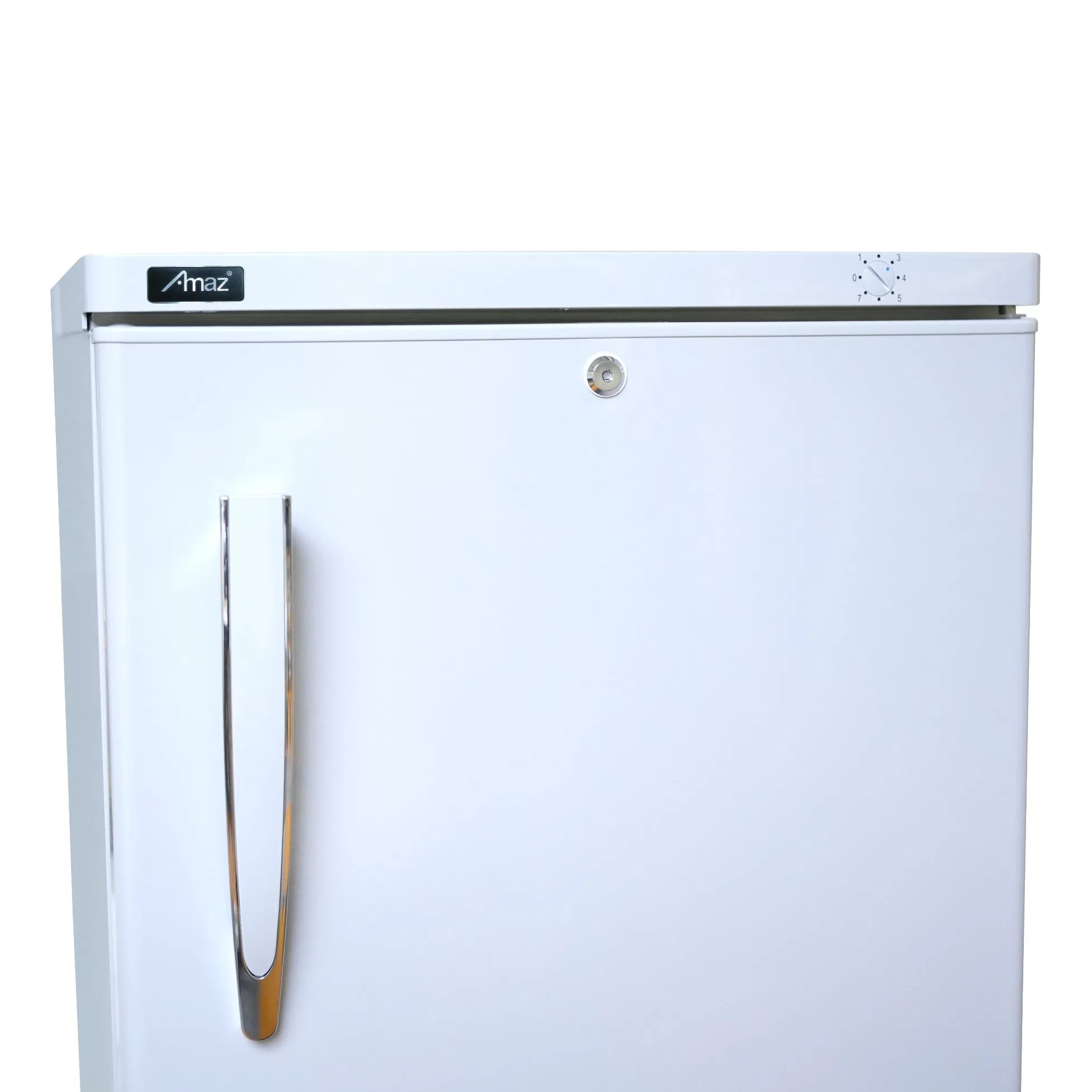 Hot Selling Upright Standing Freezer with 8 Brackets 205L Water Freezer