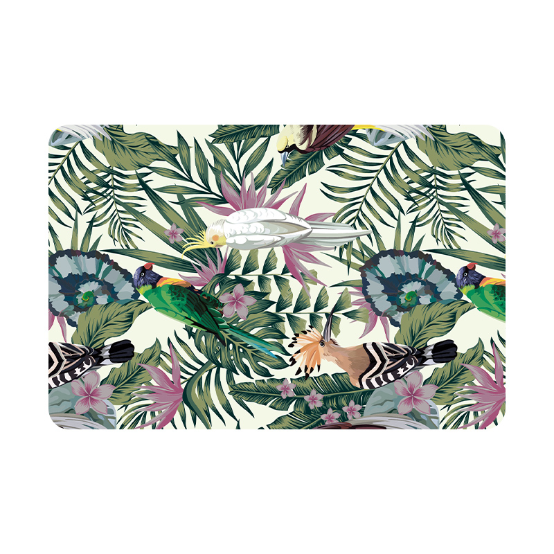 High Quality Anti Slip Quick Dry Front Door Mat Kitchen Washbasin Bathtub Mat Diatomite Kitchen Mat