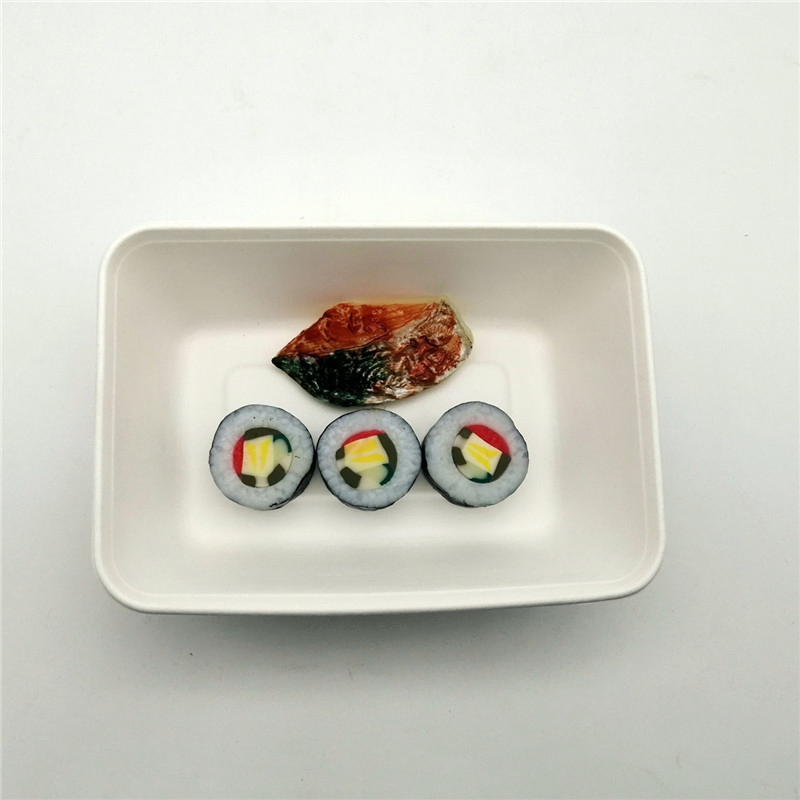 Disposable Biodegradable Sugarcane Bagasse Food Packaging Container