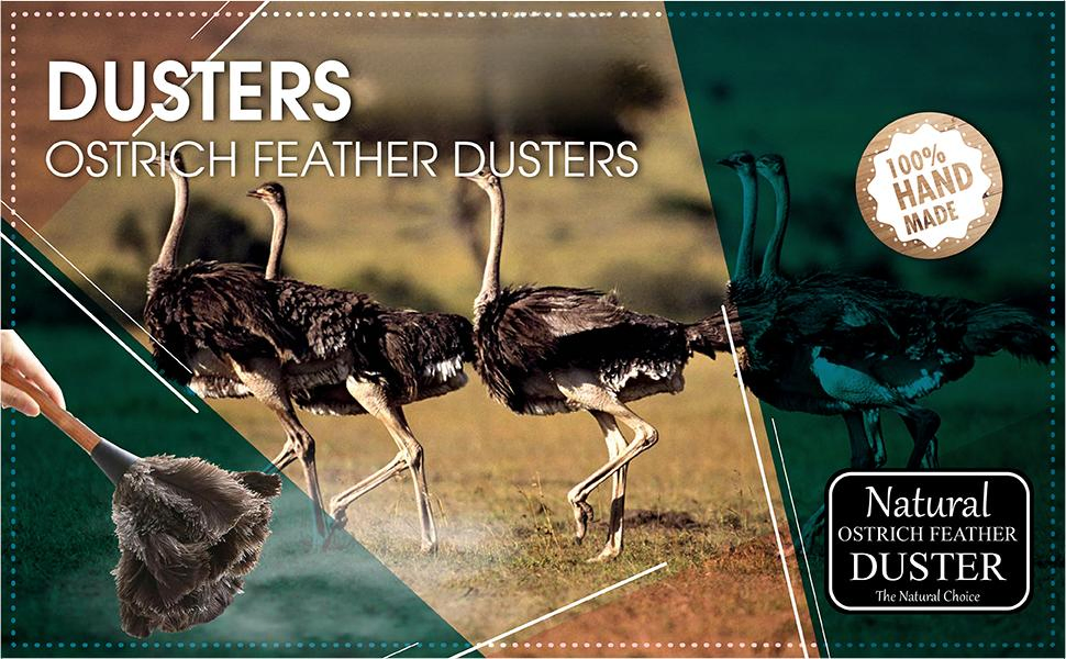 Mini Duster 14" L Delicate Surface Ostrich Feather Furniture Fuzzy Cleaning Dusters