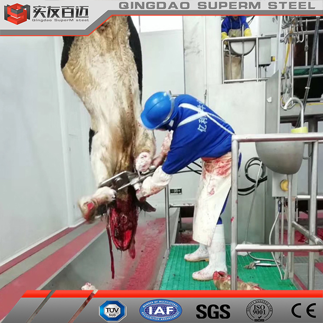 Turkey Solution Halal Cattle Abattoir House Beef Carcass Processing Line Equipment Installation Beams and Columns Prefabricated Steel Slaughter House
