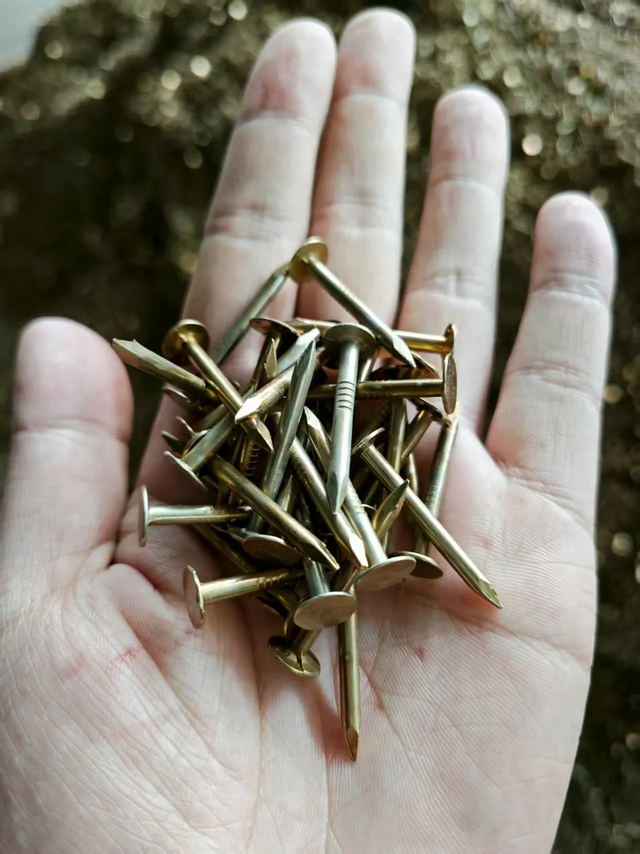 Ring Smooth Shank Galvanized Clout / Roofing Coil Nails