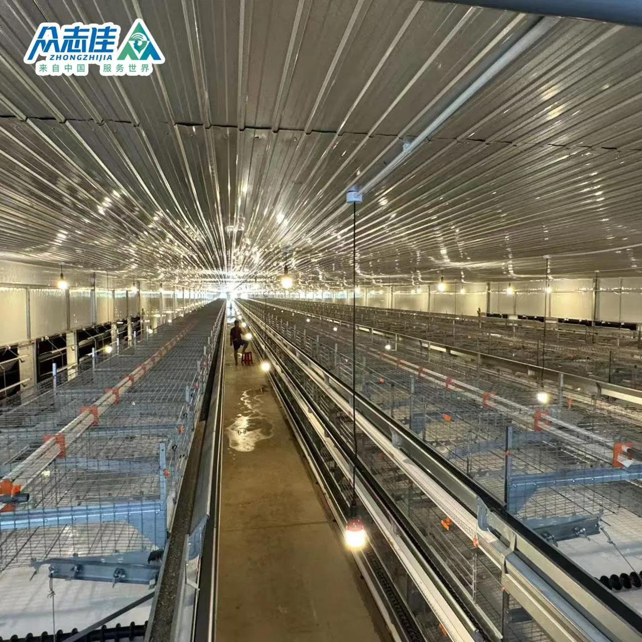 Многоярусная клеточная батарея для птицеводства H-образная