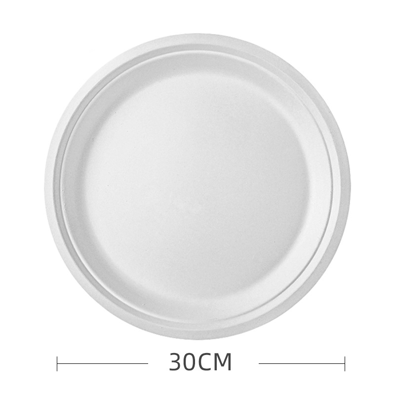 Hot Sale Disposable Sugarcane Pulp Bagasse Paper Plates