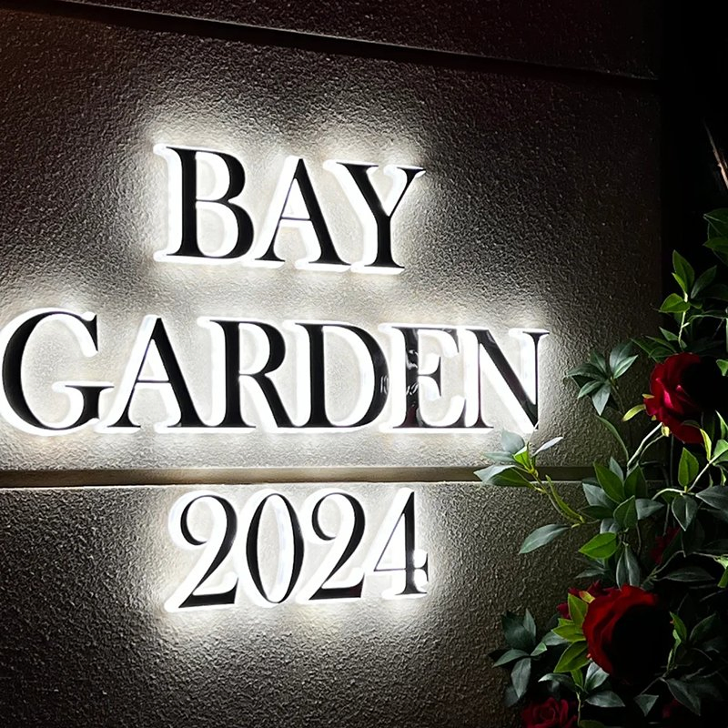 Ezd Factory Price 3D Logo Channel Letters Design Business Signs Outdoor Lighted