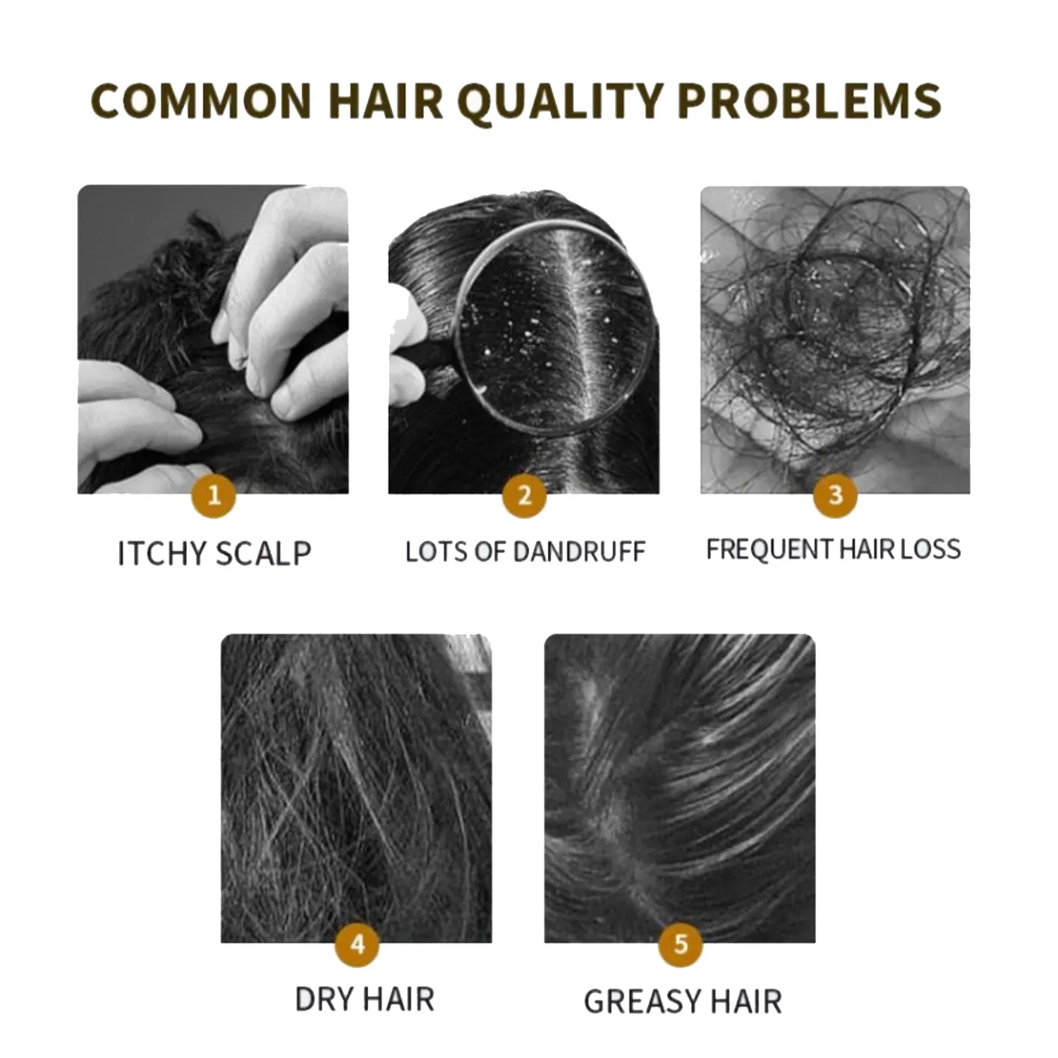 Anti-Hair Loss Rosemary Shampoo, Natural Extract