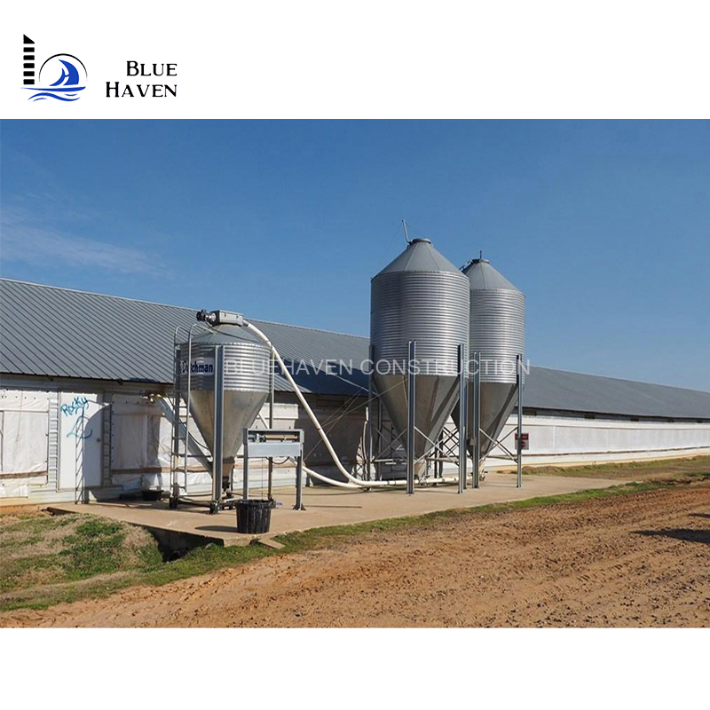 Steel Structure Layer Egg Chicken Cage Broiler Poultry Farm House