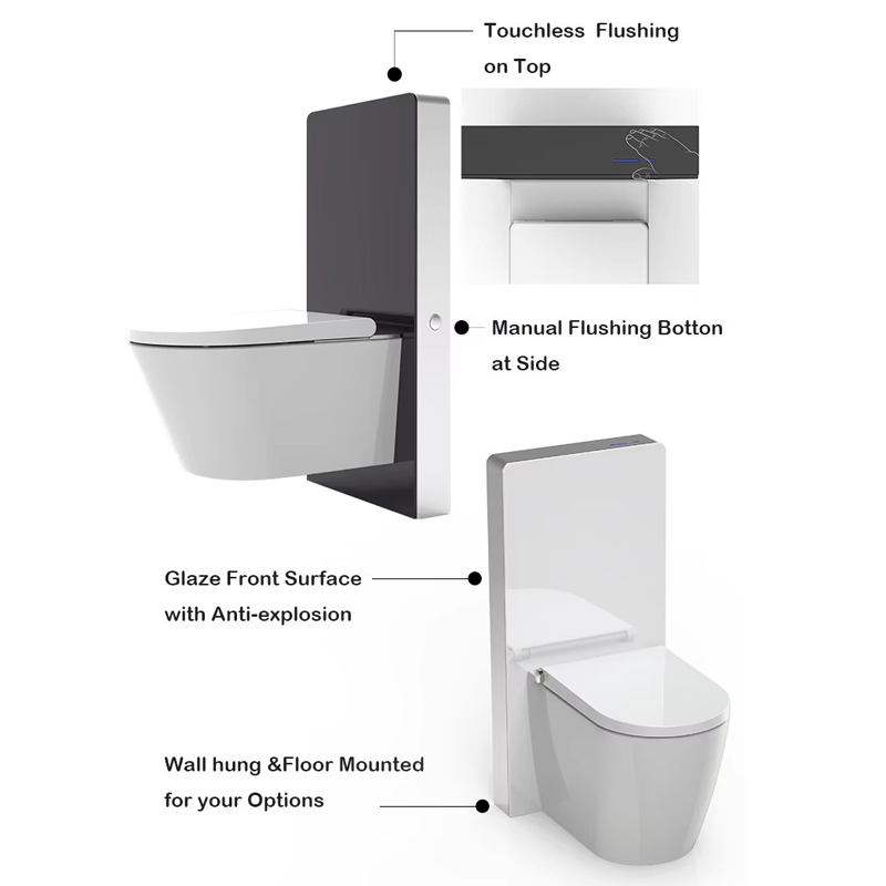European Style Penumatric Flushing Toilet Water Tank Floor Standing Toilet Glass Cistern
