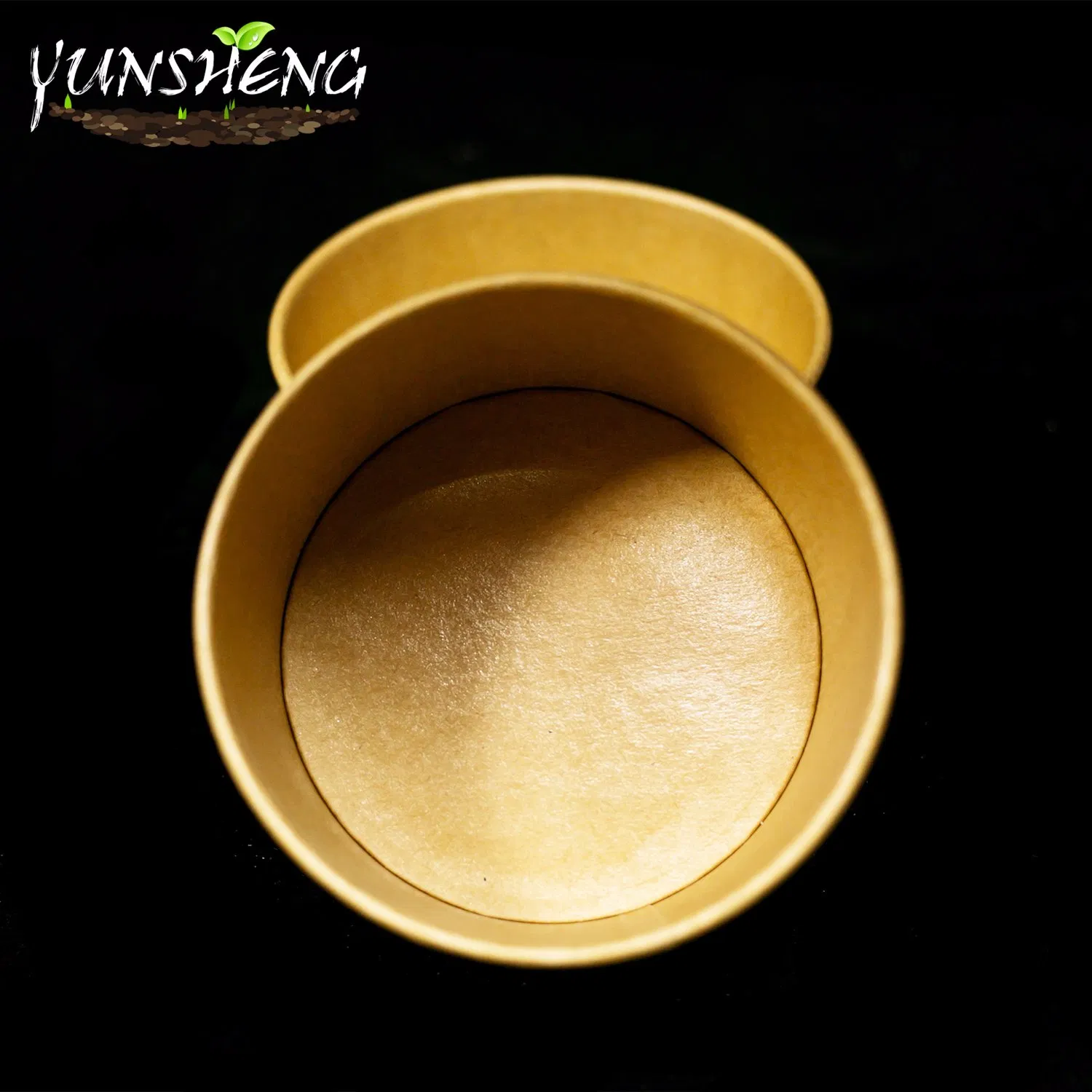 Disposable Tableware Take Away Food Container Noodle Bowl