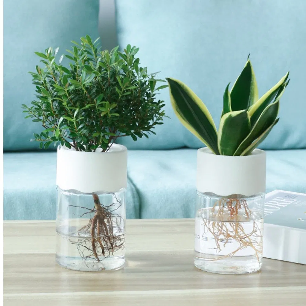 Self Watering Planters Pots 6 Inch Plant Pots, Modern Ci24864